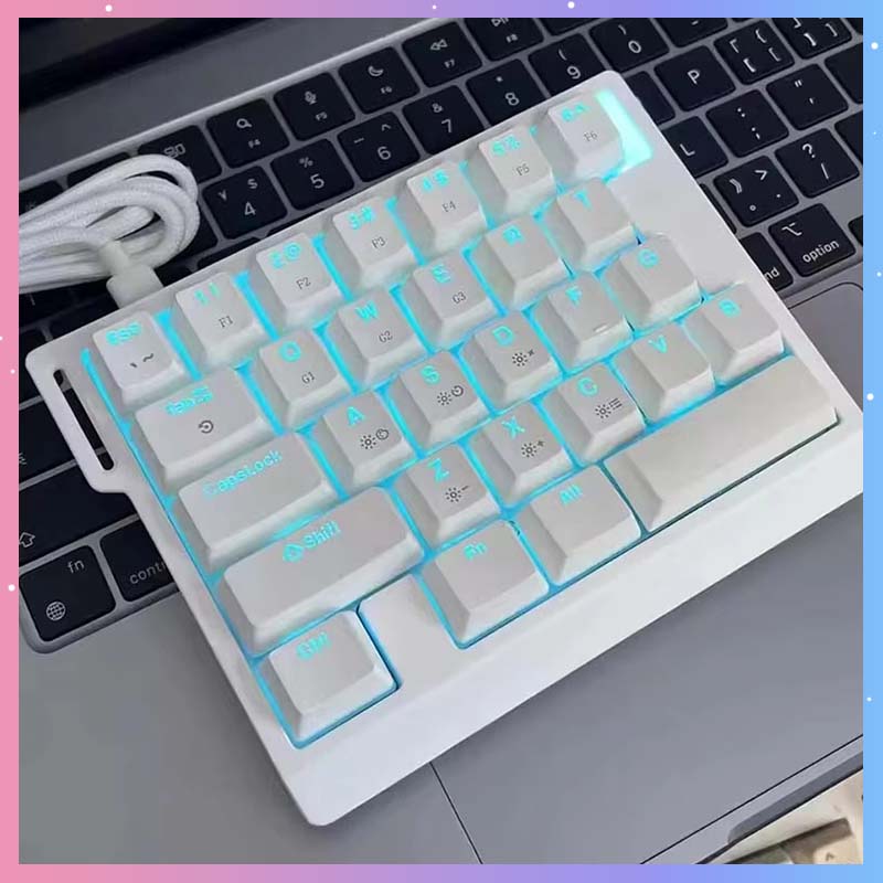 Gaming Keyboard Magnetic Switches - HE30 Mechanisch Gaming Toetsenbord 29 toetsen