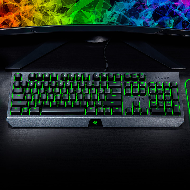 Razer Blackwidow Essentiële Me - Gaming Keyboard Ergonomics recensie en prijs